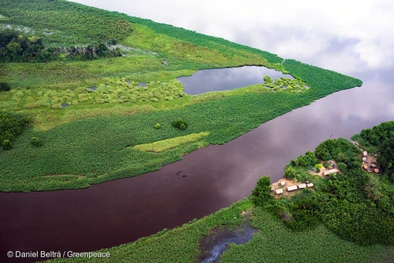 Agricultura é principal responsável pela perda de turfeiras tropicais