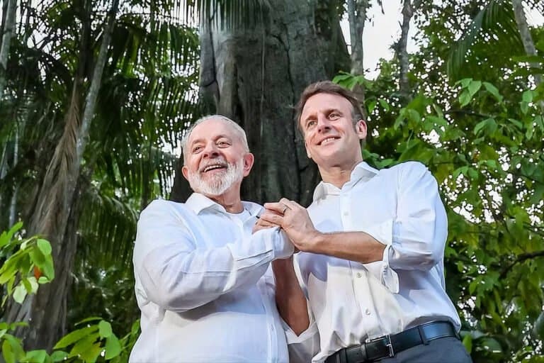 Brasil busca proteção internacional para a árvore Pau-Brasil contra a exploração