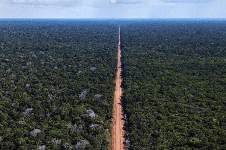 Brasil cria reservas na AmazĂ´nia em meio a projeto de asfaltamento da BR-319
