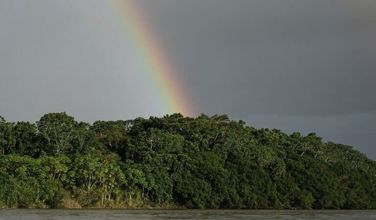 Colômbia registra queda na desmatamento em 2025, aponta IDEAM