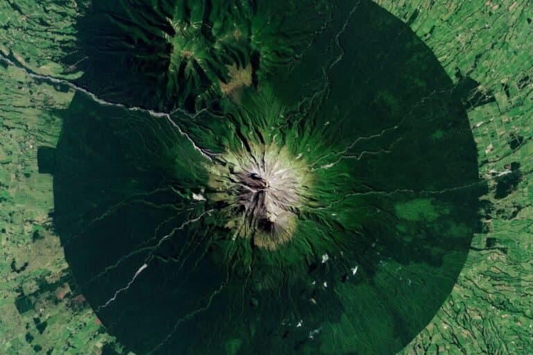 Como histórias erradas prejudicam a natureza e como mudá-las