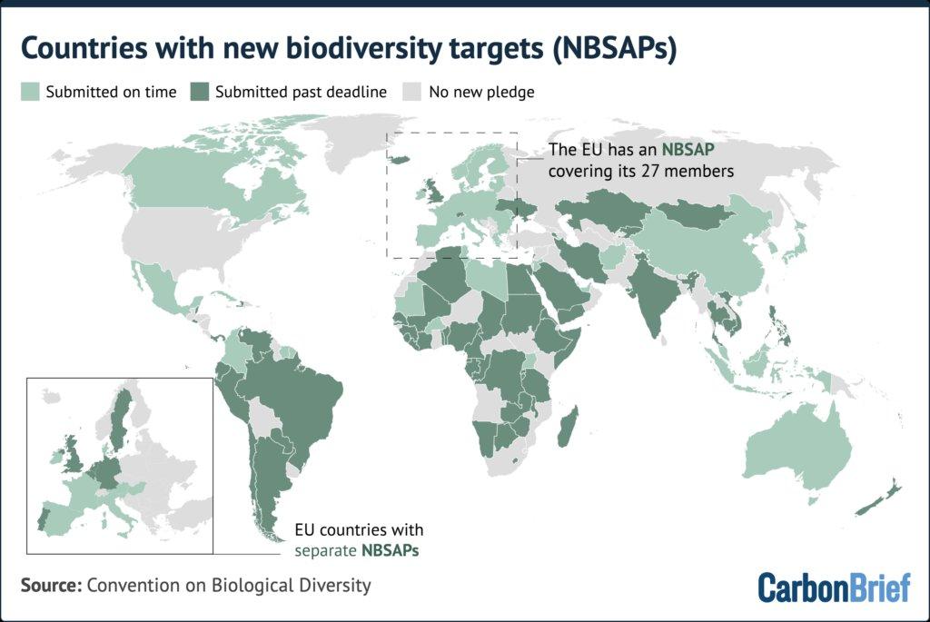 COP17: Países anunciam novos compromissos para combater a perda da biodiversidade
