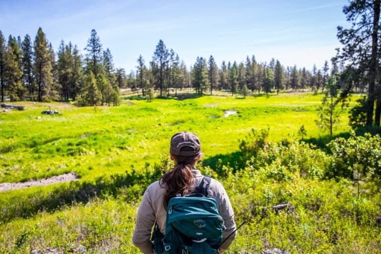 Crise de Saúde Mental entre Conservacionistas: Um Alerta Urgente