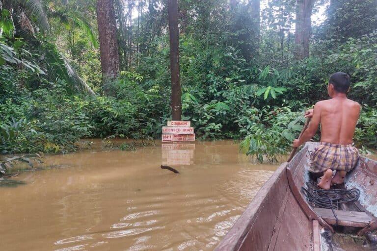 Desmatamento ameaça parque de paz idealizado por indĂgenas em BornĂ©u