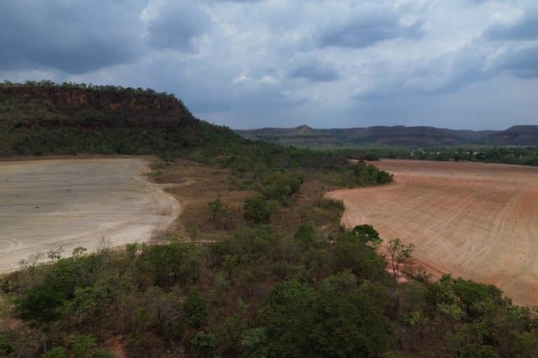 Desmatamento na Amazônia cai 23,5% em 2025 com ações no Brasil