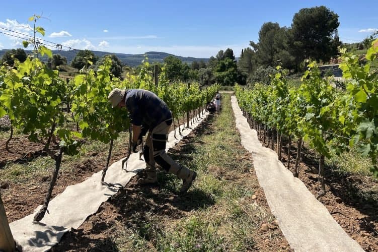 Do SalĂŁo Ă Terra: A Surpreendente Reutilização de ResĂduos Capilares