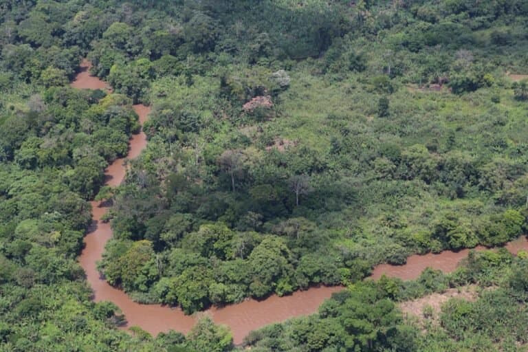 Famílias deslocadas promovem conservação no Parque Nacional Maiko, DRC