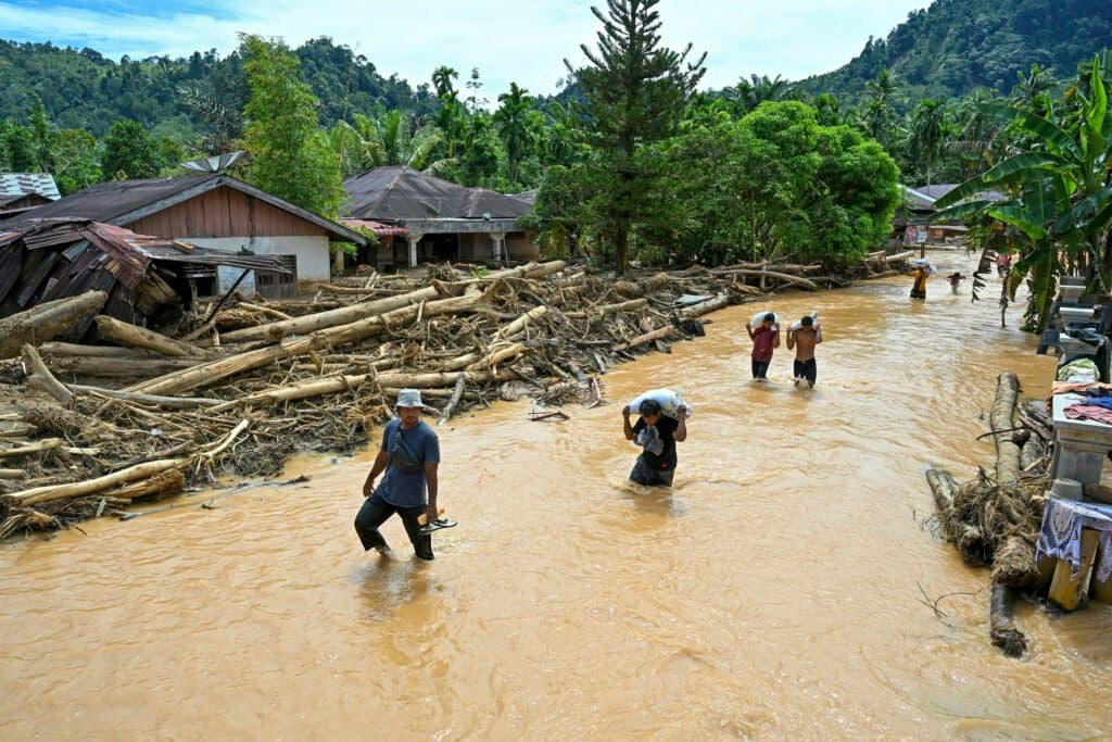 Inundações em Sumatra Afligem Orangotango Raro e Aumentam Risco de Extinção