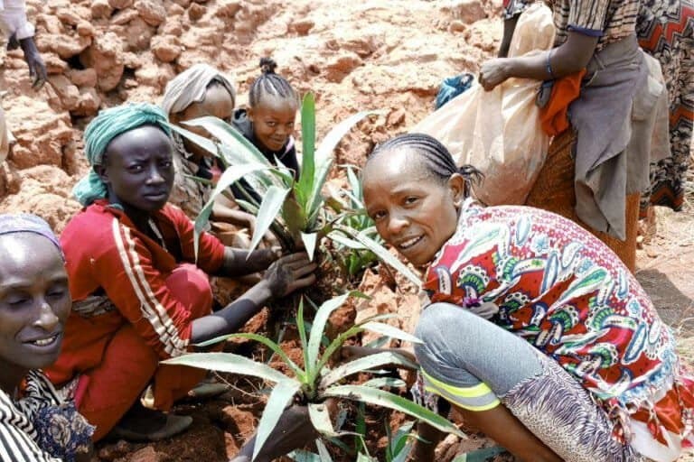 Mulheres etíopes replantam árvores para restaurar terras e vidas