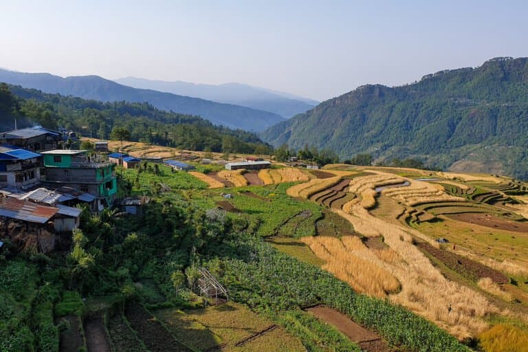 Nepal: Florestas Comunitárias Acumulam Madeira Não Vendida