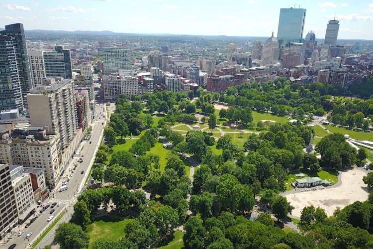 O Crescimento dos Espaços Verdes Urbanos: Benefícios e Desafios