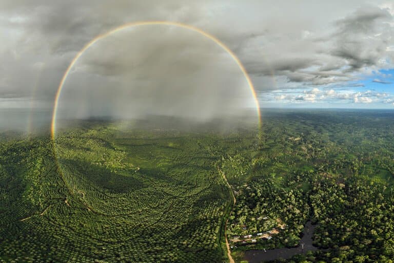 Países da ASEAN comprometem-se com justiça ambiental e direitos humanos
